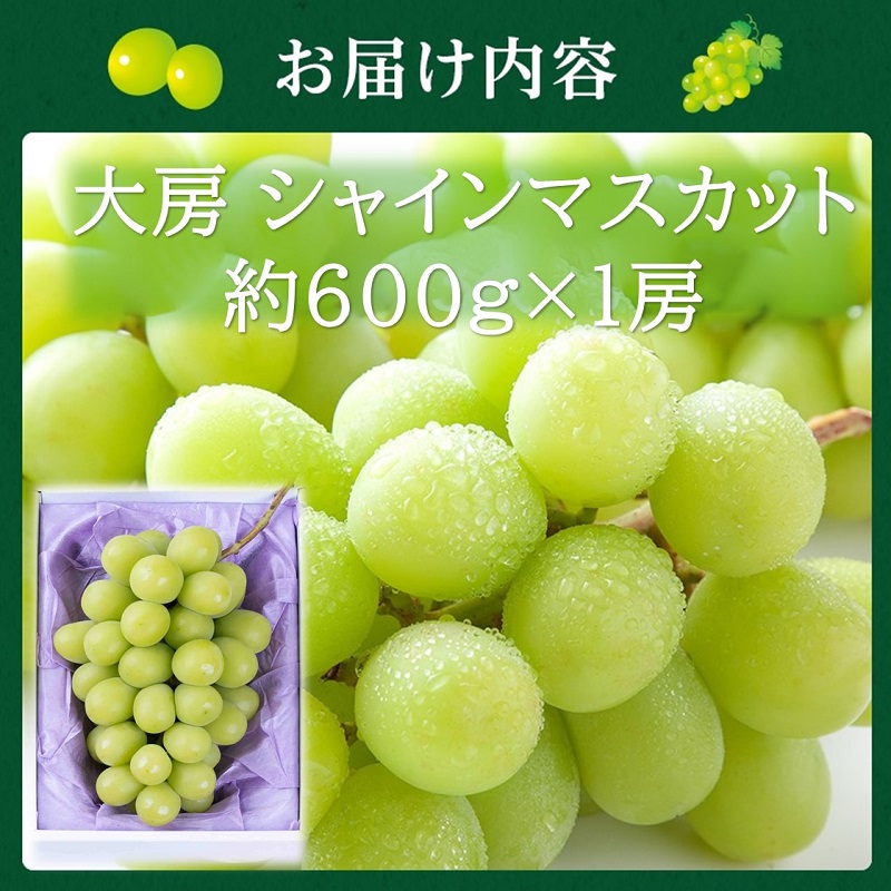 2026幎 æ©æåä»ãé«å³¶å±éžå®åãå€§æ¿ ã·ã£ã€ã³ãã¹ã«ãã çŽ600gÃ1æ¿ å²¡å±±ç髿¢åžç£ åè£
ç®±å
¥ã è¡è ãã㊠èŽãç©