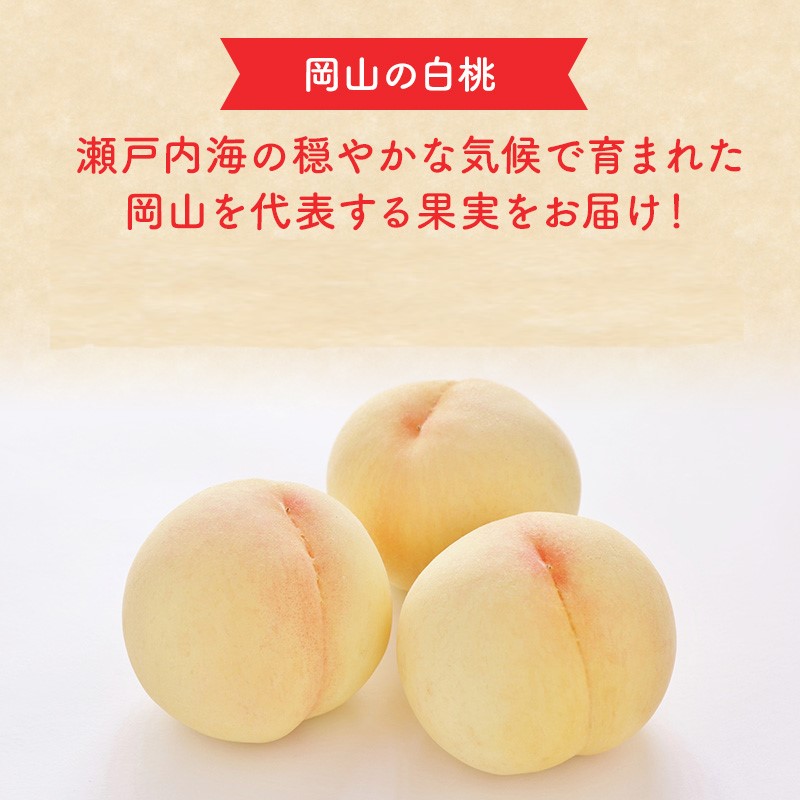 2026年 早期受付 岡山県産 清水白桃 (約2.2kg)5～7玉 桃 白桃 もも 果物 フルーツ