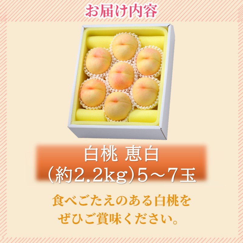 2026年 早期受付 岡山県産 白桃 恵白 (約2.2kg) 5～7玉 桃 もも 果物 フルーツ