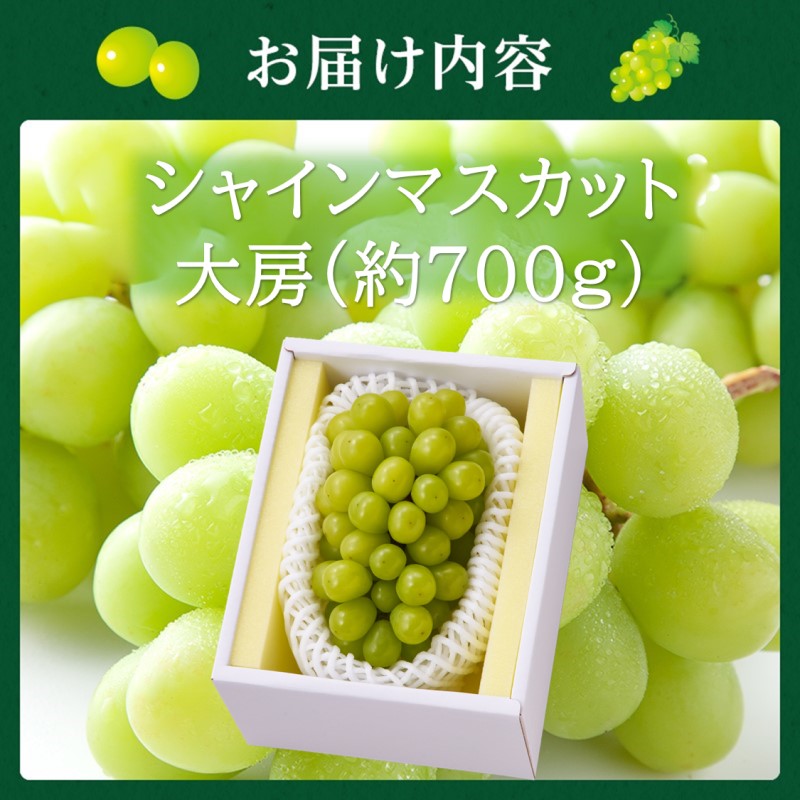 2026年 早期受付 高梁市産 シャインマスカット 大房 (約700g) ぶどう ブドウ 葡萄 果物 フルーツ