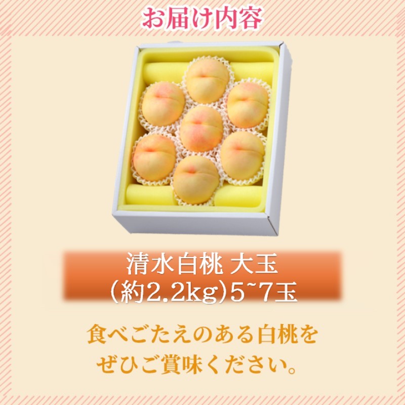 2026年 早期受付 岡山県産 清水白桃 大玉 (約2.2kg) 5～7玉 桃 白桃 もも 果物 フルーツ