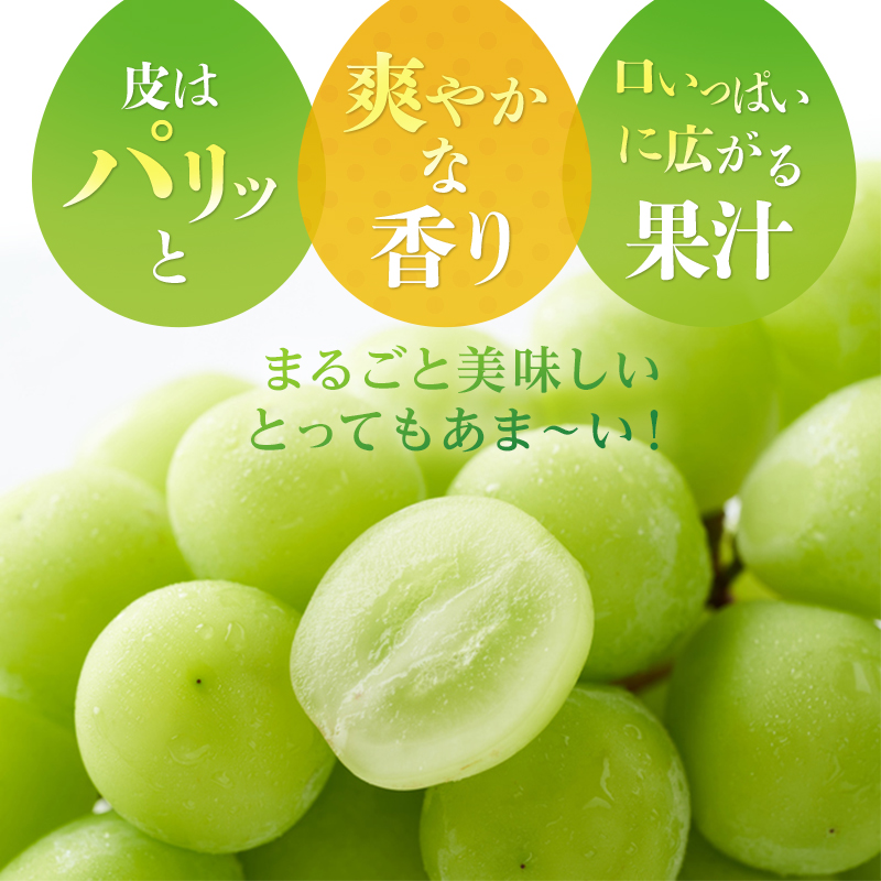 2026幎 æ©æåä» ã¶ã©ã ã·ã£ã€ã³ãã¹ã«ããçŽ2kgïŒ3ïœ5æ¿ïŒ 岡山ç髿¢åžç£ 岩å蟲å è¡è ãããŠ