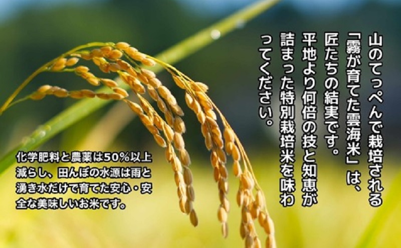 霧が育てた雲海米 特別栽培米 10kg (5kg×2) 雲海米 精米 コシヒカリ 米 コメ お米 おこめ 白米 こしひかり 岡山 高梁市