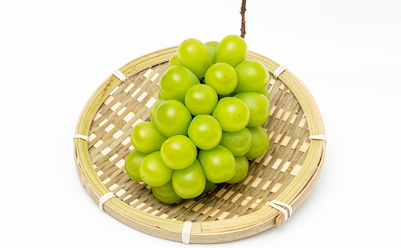 ã¶ã©ã 2026幎 å
è¡äºçŽ ã·ã£ã€ã³ ãã¹ã«ãã æŽç 1æ¿ ïŒ1æ¿670g以äžïŒ åç²§ç®±å
¥ã ãã¹ã«ãã ãã㊠è¡è 岡山çç£ åœç£ ãã«ãŒã æç© ã®ãã èŽçå é«çŽ å€§ç² çš®ç¡ã èŽãç©