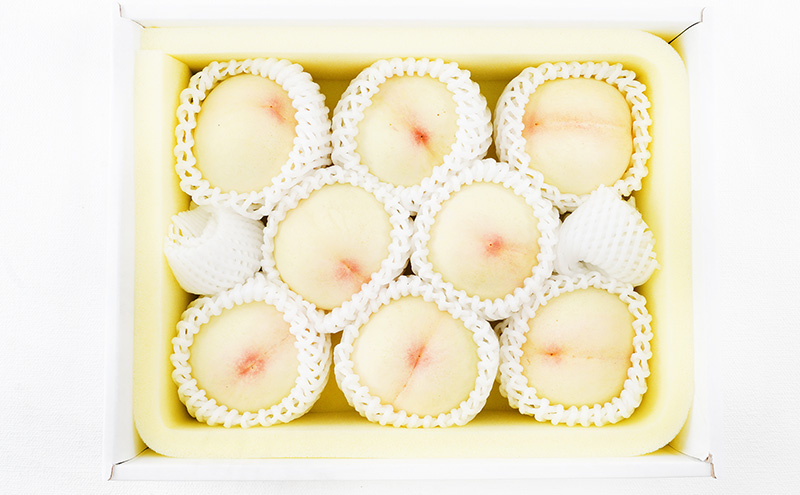 桃 2026年 先行予約 白桃 8玉（1玉200g以上）化粧箱入り もも モモ 岡山県産 国産 フルーツ 果物 ギフト 透き通る 白い 柔らかい 果汁 きめ細やか 恵み 知恵 情熱 贈り物