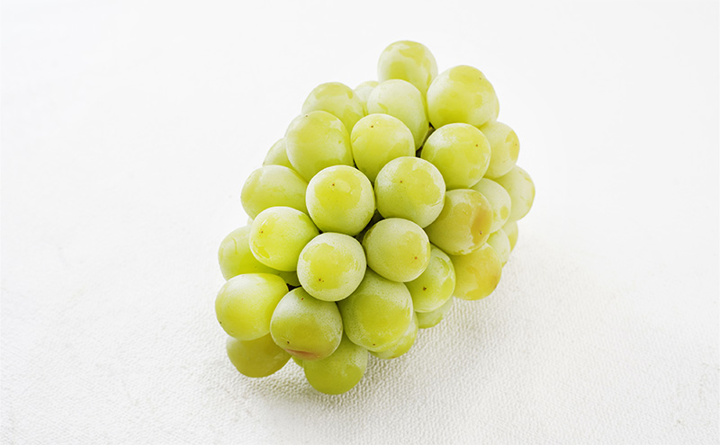 ぶどう 2026年 先行予約 マスカット・オブ・アレキサンドリア 特秀品 1房（1房700g以上）化粧箱入り 葡萄 岡山県産 国産 フルーツ 果物 ギフト 果実 上品 高級