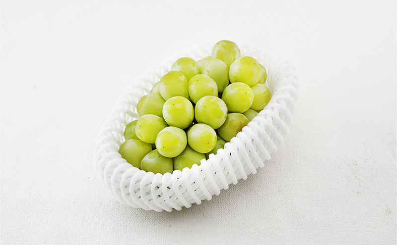 ぶどう 2026年 先行予約 マスカット・オブ・アレキサンドリア 特秀品 1房（1房700g以上）化粧箱入り 葡萄 岡山県産 国産 フルーツ 果物 ギフト 果実 上品 高級