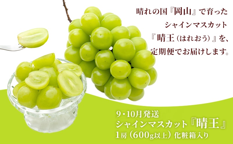 ぶどう 2026年 先行予約 晴れの国 岡山の シャイン マスカット 晴王 定期便 2回（各1房600g以上） 葡萄  岡山県産 国産 フルーツ 果物 ギフト