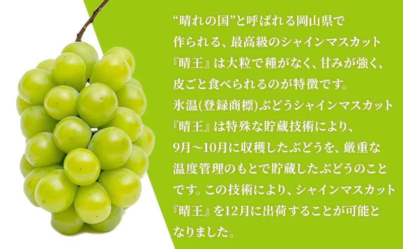 ぶどう 2026年 先行予約 3回お届け！  晴れの国 岡山の シャイン マスカット  晴王 ×3回！(各1房)  葡萄  岡山県産 国産 フルーツ 果物 ギフト 食後 高級ぶどう 大粒 種なし 甘みが強い 皮ごと