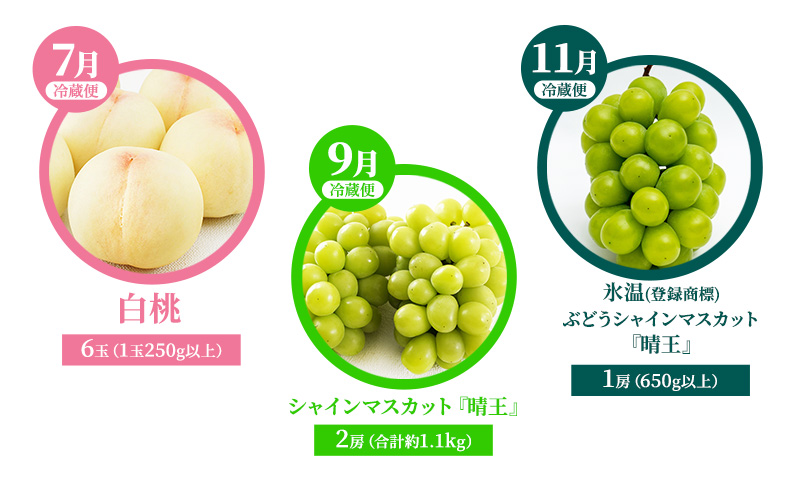 桃 ぶどう 定期便 （隔月） 2026年 先行予約 晴れの国 岡山の フルーツ 定期便 3回 コース 白桃 もも 葡萄 シャイン マスカット 葡萄 岡山産 国産 フルーツ 果物 ギフト