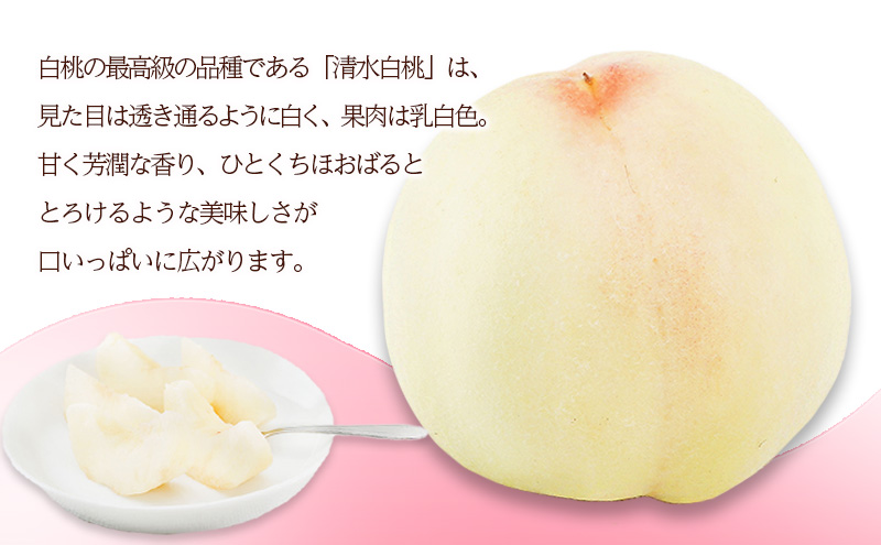 桃 2026年 先行予約 清水 白桃 8玉 （1玉200g以上）化粧箱入り もも モモ 岡山県産 国産 フルーツ 果物 ギフト 最高級 贈答品 贈り物
