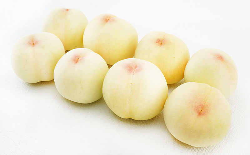 桃 2026年 先行予約 清水 白桃 8玉 （1玉200g以上）化粧箱入り もも モモ 岡山県産 国産 フルーツ 果物 ギフト 最高級 贈答品 贈り物