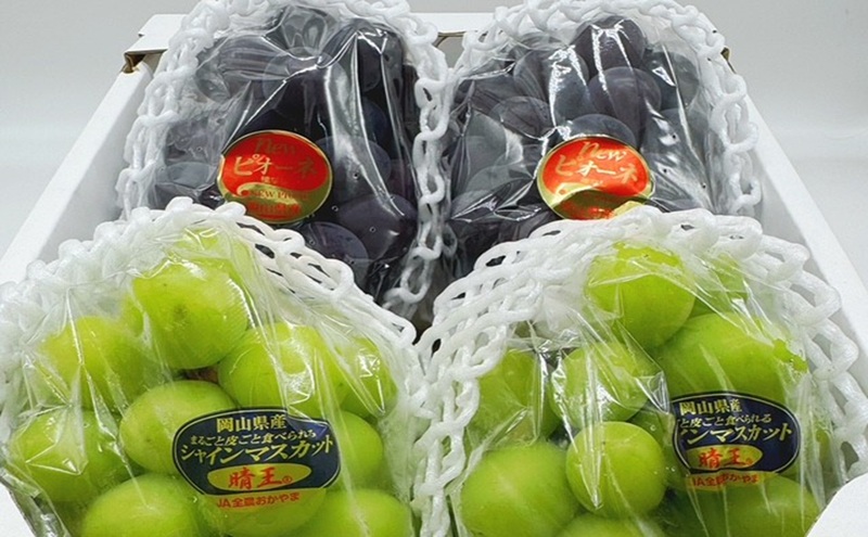 ぶどう 2026年 先行予約 詰合/ニューピオーネ2房(1房480g以上)・シャインマスカット晴王2房(1房480g以上)　化粧箱入り ブドウ 葡萄 岡山県産 国産 フルーツ 果物 ギフト