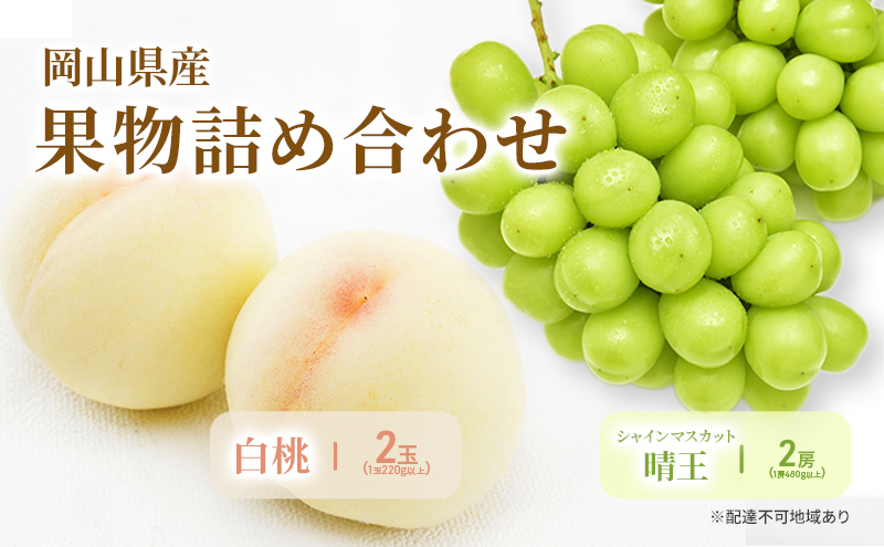 もも ぶどう 2026年 先行予約 詰合/白桃 2玉(1玉220g以上)・シャインマスカット 晴王  2房(1房480g以上) 化粧箱入り 岡山県産 国産 フルーツ 果物 ギフト