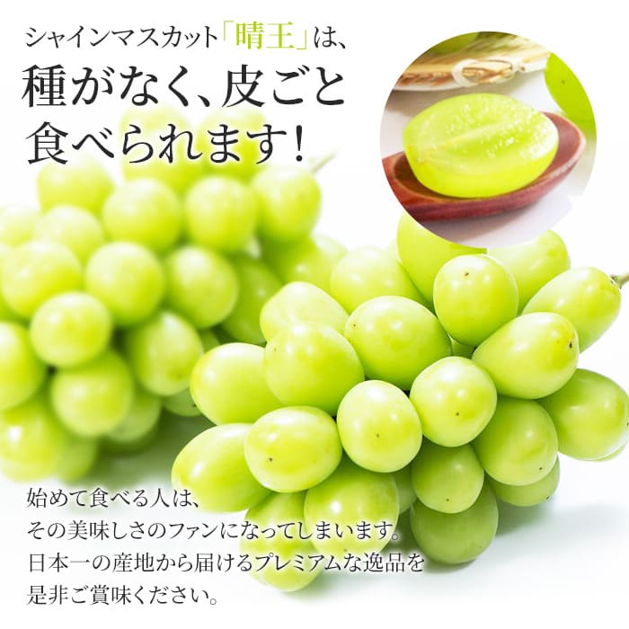 ぶどう 2026年 先行予約 シャイン マスカット 晴王 特大房 2房入り 合計約2kg 大粒 種無し ブドウ 葡萄 岡山県産 国産 フルーツ 果物 ギフト 橋田商店