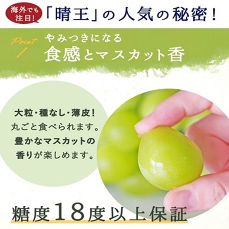 ã¶ã©ã 2026幎 å
è¡äºçŽ ã·ã£ã€ã³ ãã¹ã«ãã æŽç 3ïœ5æ¿ 2kgååŸ ïŒ8æäžæ¬ïœ9æäžæ¬çºéåïŒ ãã㊠è¡è 岡山çç£ åœç£ ãã«ãŒã æç© ã®ãã 岡山ã®ãã㊠ãã¶ãŒã é£ã¹ç© æ¥æ¬ç£