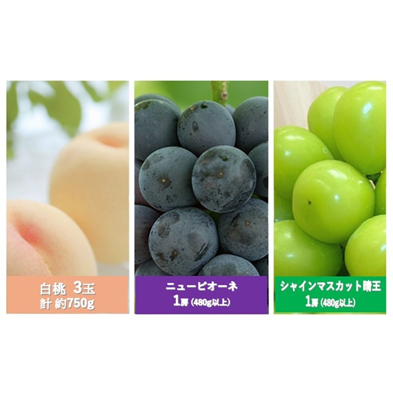 繝輔Ν繝シ繝 螳壽悄萓ソ 2026蟷エ 蜈郁。御コ育エ 譎エ繧後ョ蝗ス 蟯。螻ア 縺ョ 螳壽悄繝輔Ν繝シ繝螳壽悄萓ソ 3蝗槭さ繝シ繧ケ 譯 繧ゅb 闡。關 繝悶ラ繧ヲ 蟯。螻ア逵檎肇 蝗ス逕」 繧サ繝繝 繧ョ繝輔ヨ