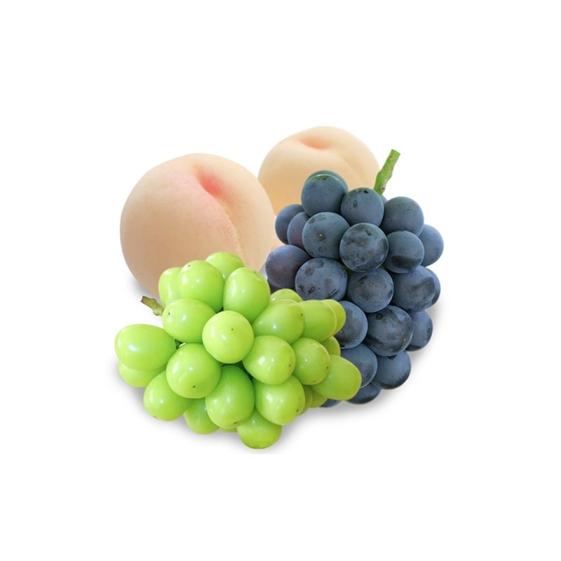 繝輔Ν繝シ繝 螳壽悄萓ソ 2026蟷エ 蜈郁。御コ育エ 譎エ繧後ョ蝗ス 蟯。螻ア 縺ョ 螳壽悄繝輔Ν繝シ繝螳壽悄萓ソ 3蝗槭さ繝シ繧ケ 譯 繧ゅb 闡。關 繝悶ラ繧ヲ 蟯。螻ア逵檎肇 蝗ス逕」 繧サ繝繝 繧ョ繝輔ヨ