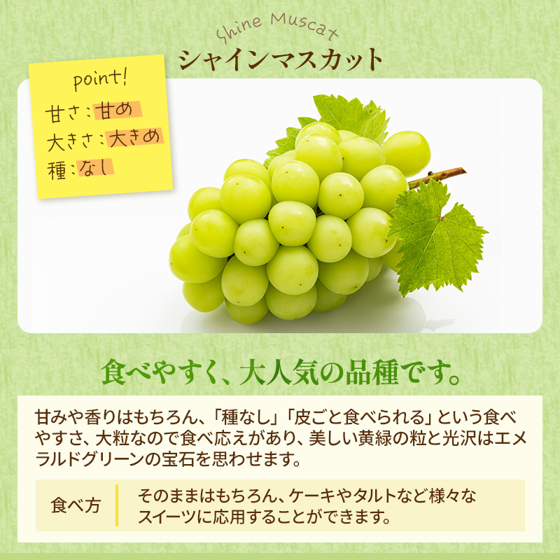 ぶどう 2026年 先行予約 シャイン マスカット 晴王 3房～6房 約2kg ブドウ 葡萄  岡山県産 国産 フルーツ 果物 ギフト 果物類