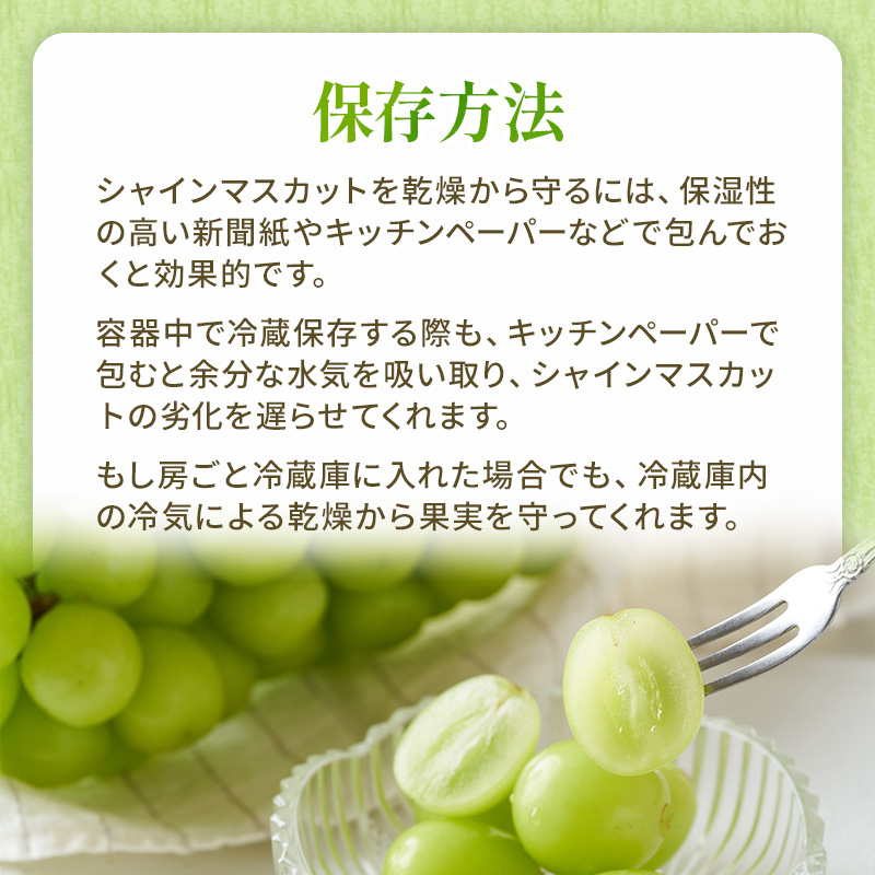 ぶどう 2026年 先行予約 シャイン マスカット 晴王 約600g×2房 ブドウ 葡萄  岡山県産 国産 フルーツ 果物 ギフト 果物類