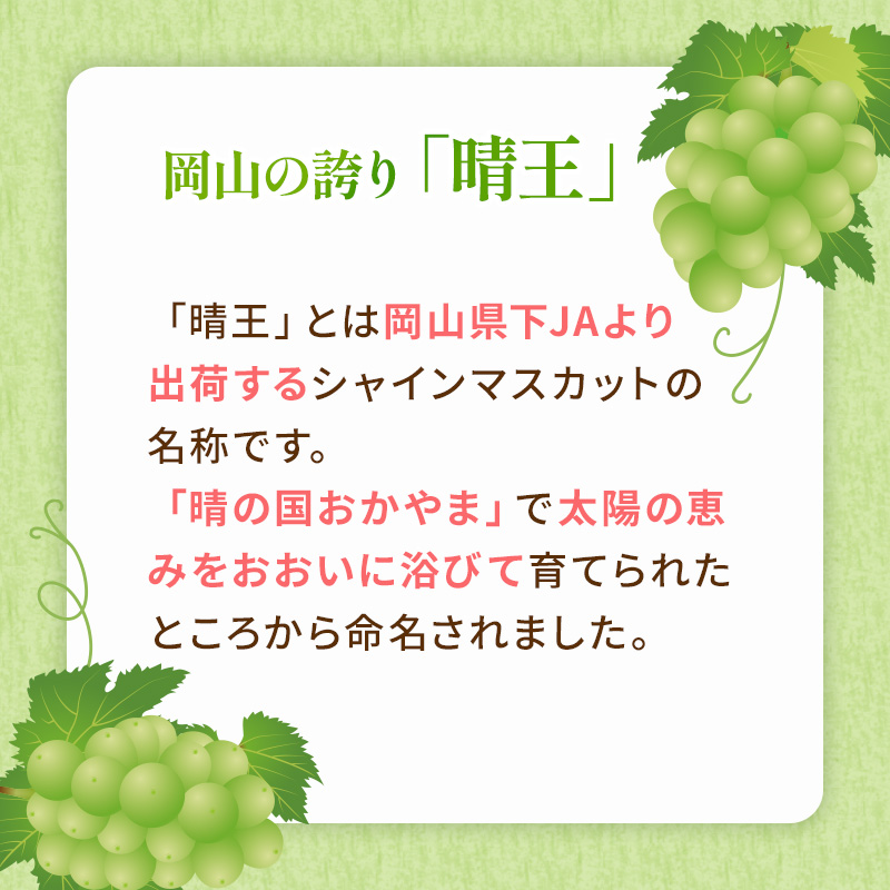 ã¶ã©ã 2026幎 å
è¡äºçŽ ãå®¶åºçš ã·ã£ã€ã³ ãã¹ã«ãã æŽç 3ïœ6æ¿ çŽ2kg ãã㊠è¡è 岡山çç£ åœç£ ãã«ãŒã æç© å€ªéœ çŸãã å€èг å€§ç² é«ç³åºŠ çš®ãªã ç®ã㚠匟å 飿 çŸå³ãã