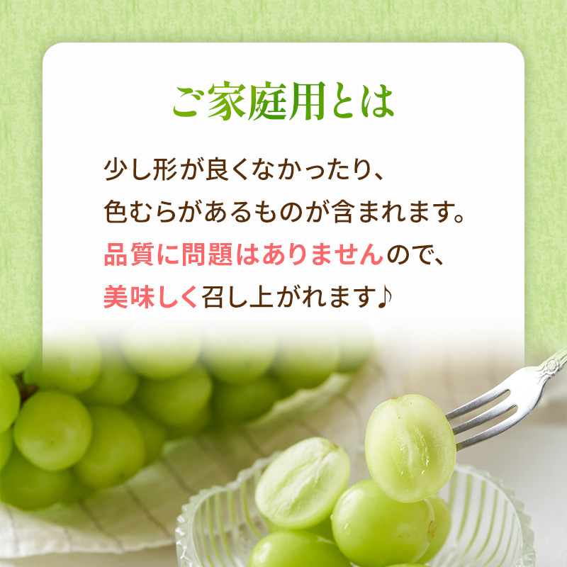 ã¶ã©ã 2026幎 å
è¡äºçŽ ãå®¶åºçš ã·ã£ã€ã³ ãã¹ã«ãã æŽç 3ïœ6æ¿ çŽ2kg ãã㊠è¡è 岡山çç£ åœç£ ãã«ãŒã æç© å€ªéœ çŸãã å€èг å€§ç² é«ç³åºŠ çš®ãªã ç®ã㚠匟å 飿 çŸå³ãã