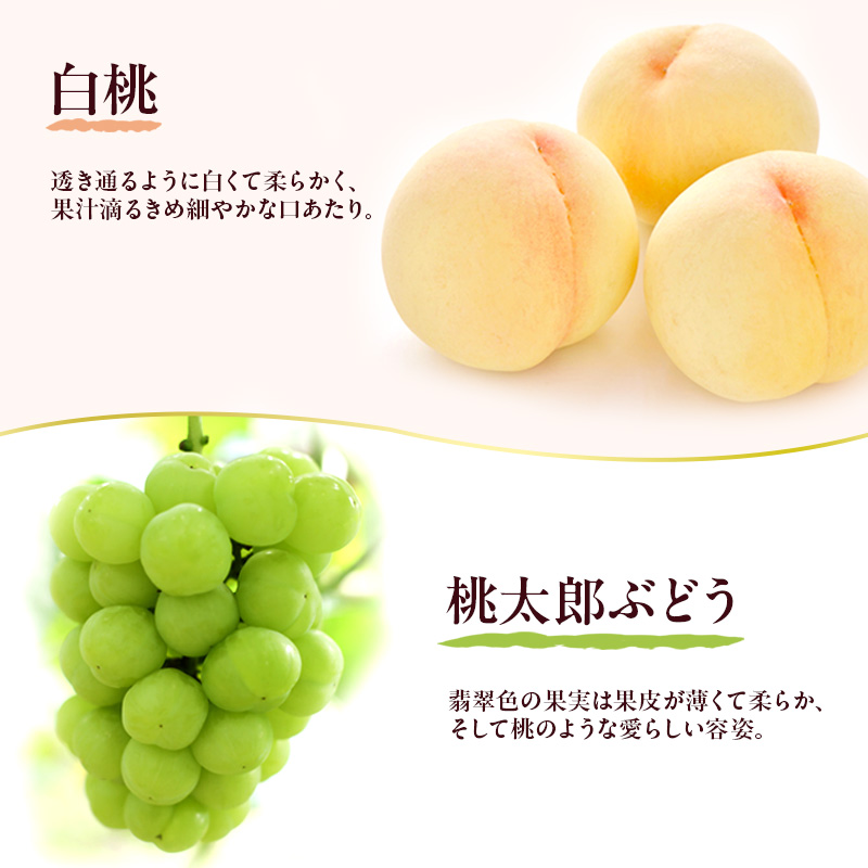 蟯。螻ア逵檎肇 繝輔Ν繝シ繝繧サ繝繝(譯螟ェ驛弱カ縺ゥ縺1謌ソ繝サ逋ス譯2邇) 譫懃黄 繝輔Ν繝シ繝 隧ー繧∝粋繧上○ 縺カ縺ゥ縺 繝悶ラ繧ヲ 闡。關 譯螟ェ驛弱カ縺ゥ縺 譯 逋ス譯 蝗ス逕」