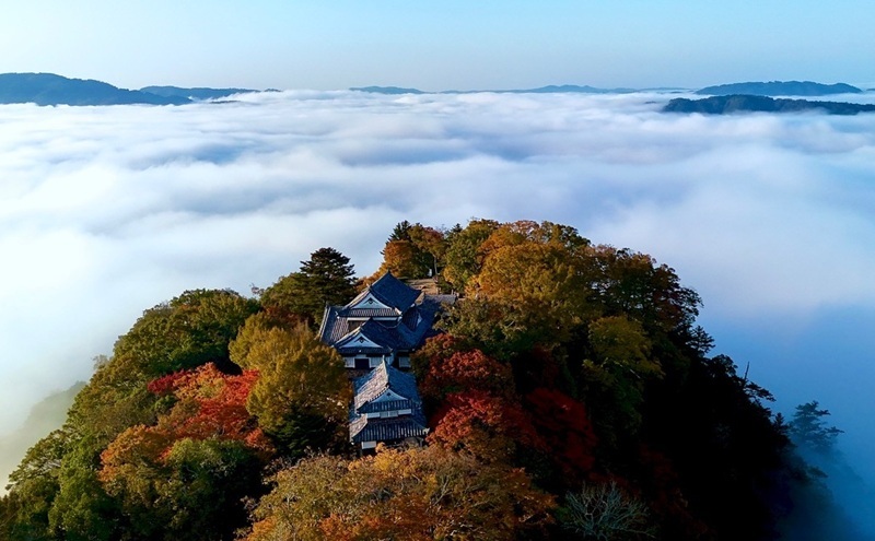 さんじゅーろー スープ 3個セット(コンソメ・ポタージュ) スープ インスタント 即席スープ スープの素 セット 岡山 高梁市