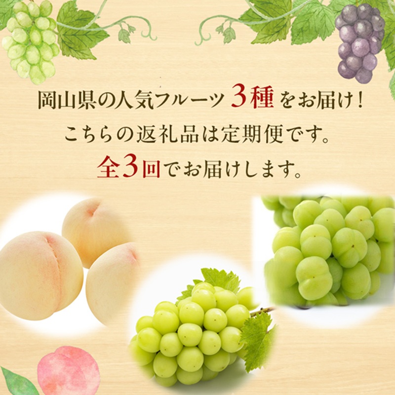 先行予約 晴れの国 岡山のフルーツ 定期便 3回コース 1回目岡山 白桃3玉 合計約600g／2回目桃太郎ぶどう 1房約500g／3回目シャインマスカット 1房約500g