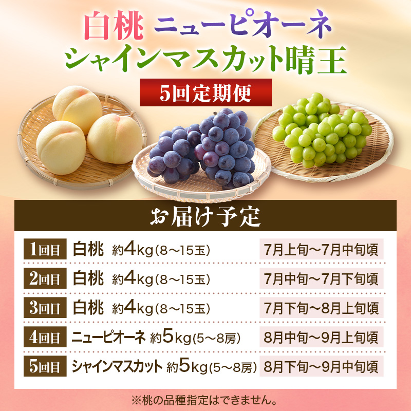 ã2026幎å
è¡åä»ã çœæ¡ ãã¥ãŒããªãŒã ã·ã£ã€ã³ãã¹ã«ãã æŽç 5å å®æäŸ¿ æ¡ ãã ã¢ã¢ ã¶ã©ã è¡è ãã㊠岡山çç£ã埡äžå
ã®ãã 埡瀌 ãã¬ãŒã³ã 埡瀌 åŸ¡ç¥ åŸ¡äŸ æç© ãã ãã® ãã«ãŒã