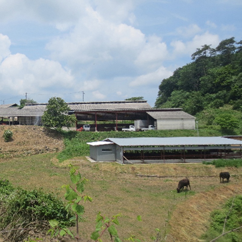 ［農林水産大臣賞受賞］備中牛 和牛ミンチ 1kg 岡山県産 黒毛 和牛 肉 お肉 牛肉 牛