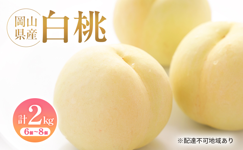 岡山県産 白桃 約2kg(6個～8個) 果物 フルーツ 桃 もも モモ 国産 岡山