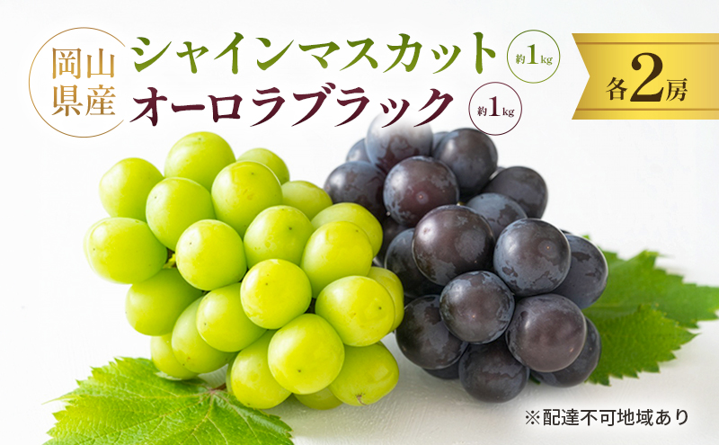 岡山県産 シャインマスカット 約1kg(2房) ・ オーロラブラック 約1kg(2房) 果物 フルーツ ぶどう ブドウ 葡萄 国産 岡山