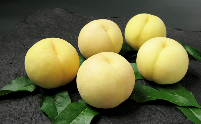 桃 2026年 先行予約 岡山 清水 白桃 5～7玉 合計1.5kg以上  もも モモ 岡山県産 国産 フルーツ 果物 ギフト 環山堂