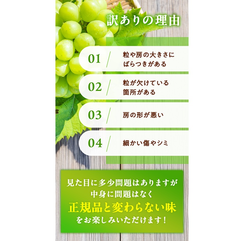 訳あり シャインマスカット 晴王 2房 合計1.0kg以上 ぶどう 葡萄 シャイン マスカット 岡山 岡山県産 桃太郎御一行 2026年 先行予約
