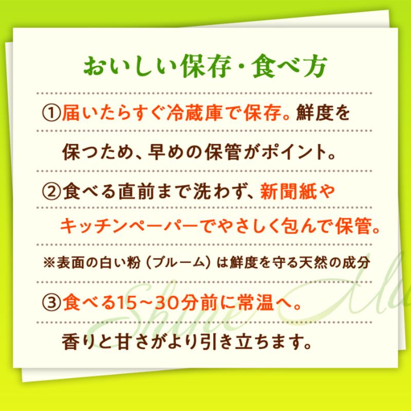 訳あり シャインマスカット 晴王 2～3房 合計1.5kg以上 ぶどう 葡萄 シャイン マスカット 岡山 岡山県産 桃太郎御一行 2026年 先行予約