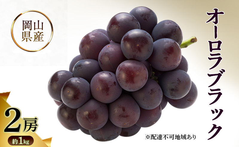 岡山県産 オーロラブラック 約1kg(2房) 果物 フルーツ ぶどう ブドウ 葡萄 国産 岡山