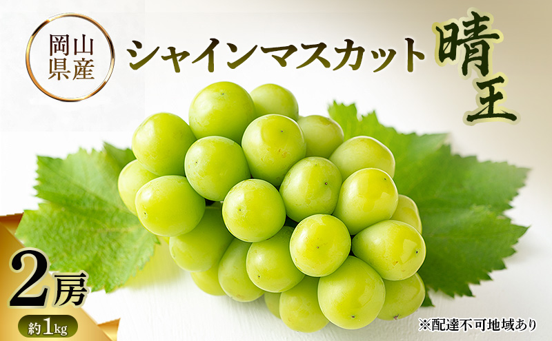 岡山県産 シャインマスカット晴王 約1kg(2房) 果物 フルーツ ぶどう ブドウ 葡萄 国産 岡山