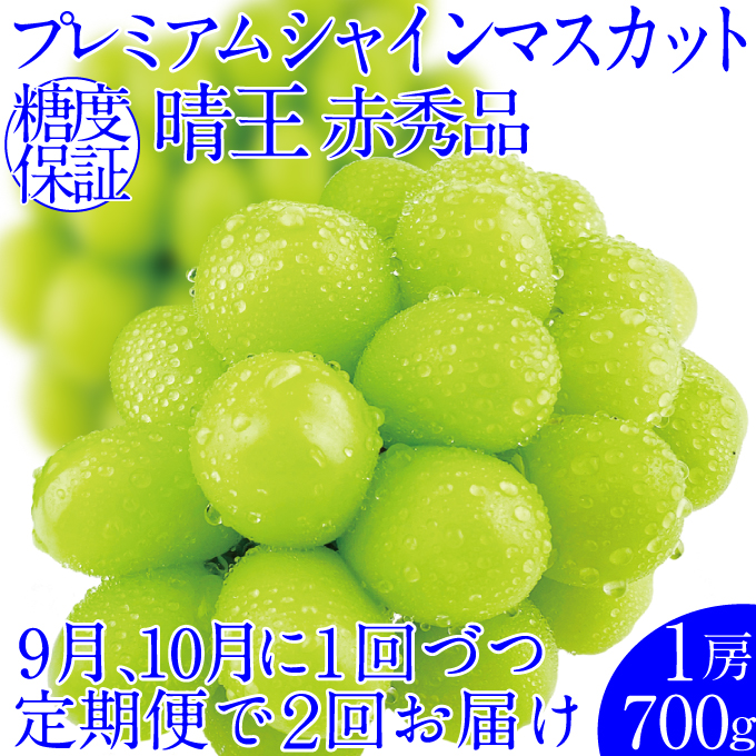 ぶどう 2026年 先行予約【2回定期便】 プレミアムシャインマスカット 晴王 1房 約700g 人気 岡山県船穂産 赤秀品 種無し 皮ごと食べる みずみずしい9月10月お届け ハレノフルーツ