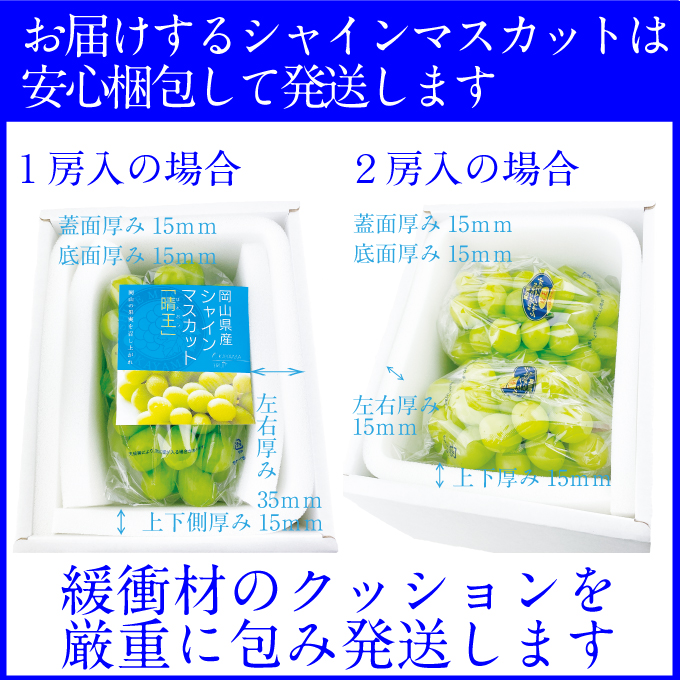 ぶどう 2026年 先行予約【2回定期便】 プレミアムシャインマスカット 晴王 2房 約1.4kg 人気 岡山県船穂産 赤秀品 種無し 皮ごと食べる みずみずしい9月10月お届け ハレノフルーツ