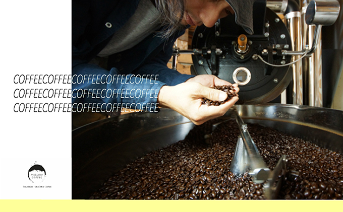 【メール便】 1袋たっぷり50gのまろやか水出し珈琲×5袋【ドリップ、アイスコーヒー】 飲料類 