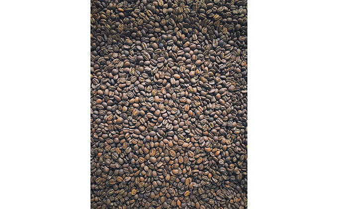 1袋たっぷり50gのまろやか水出し珈琲×30袋【ドリップ、アイスコーヒー】 飲料類 