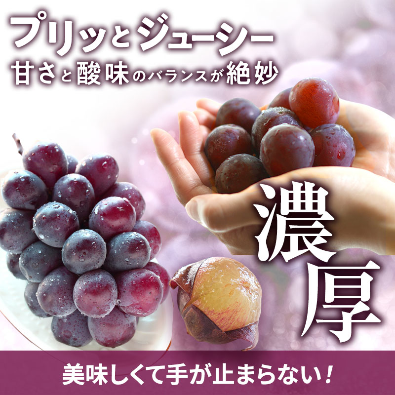 訳あり 辻葡萄園 の ニュー ピオーネ ご家庭用 満杯詰め 約4kg 岡山県産 ぶどう 葡萄 果物 フルーツ 2026年 先行予約 果物類 