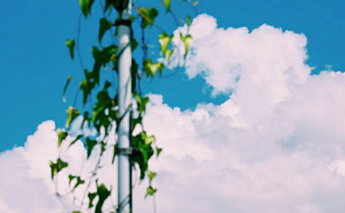 アイスコーヒー 無糖 自家焙煎 コーヒー 1000ml×4本 飲料類 珈琲 飲料 ドリンク 