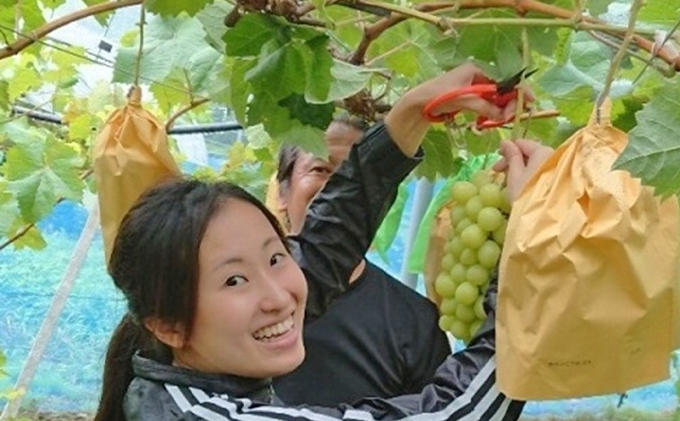 ã·ã£ã€ã³ãã¹ã«ãã 1æ¿ 600gååŸ è¡è ãã«ãŒã 岡山 髿¢åžç£ ããã蟲å ã¶ã©ãclub 2026幎 å
è¡äºçŽ æç©é¡ ãã㊠æç©