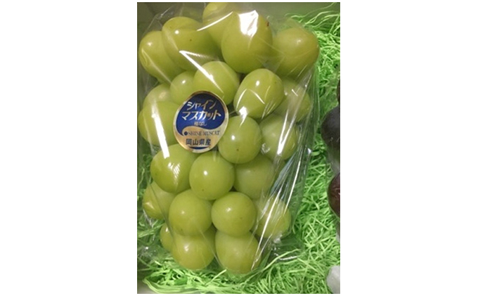 ã·ã£ã€ã³ãã¹ã«ãã 1æ¿ 600gååŸ è¡è ãã«ãŒã 岡山 髿¢åžç£ ããã蟲å ã¶ã©ãclub 2026幎 å
è¡äºçŽ æç©é¡ ãã㊠æç©