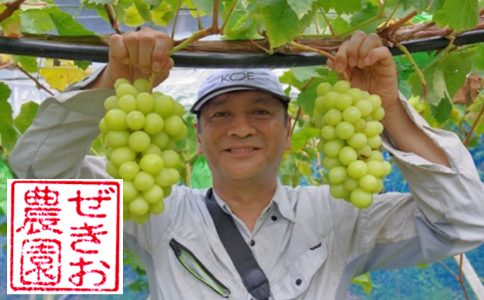 ã·ã£ã€ã³ãã¹ã«ãã 1æ¿ 600gååŸ è¡è ãã«ãŒã 岡山 髿¢åžç£ ããã蟲å ã¶ã©ãclub 2026幎 å
è¡äºçŽ æç©é¡ ãã㊠æç©