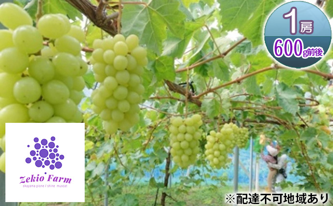 ã·ã£ã€ã³ãã¹ã«ãã 1æ¿ 600gååŸ è¡è ãã«ãŒã 岡山 髿¢åžç£ ããã蟲å ã¶ã©ãclub 2026幎 å
è¡äºçŽ æç©é¡ ãã㊠æç©