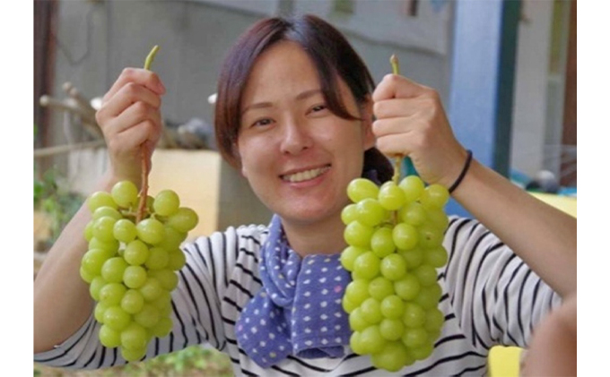 ã·ã£ã€ã³ãã¹ã«ãã 2æ¿ åèš1kgååŸ è¡è ãã«ãŒã 岡山 髿¢åžç£ ããã蟲å ã¶ã©ãclub 2026幎 å
è¡äºçŽ æç©é¡