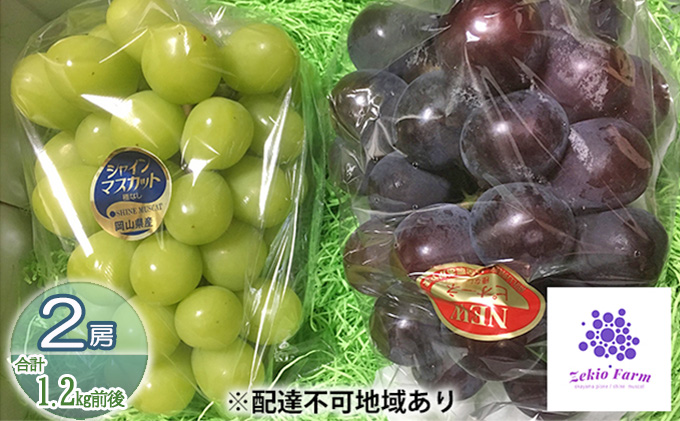 ぶどう食比べセット 2房 合計1kg前後 葡萄 フルーツ 岡山 高梁市産 ぜきお農園 ぶどうclub 2026年 先行予約 果物類 マスカット 果物 